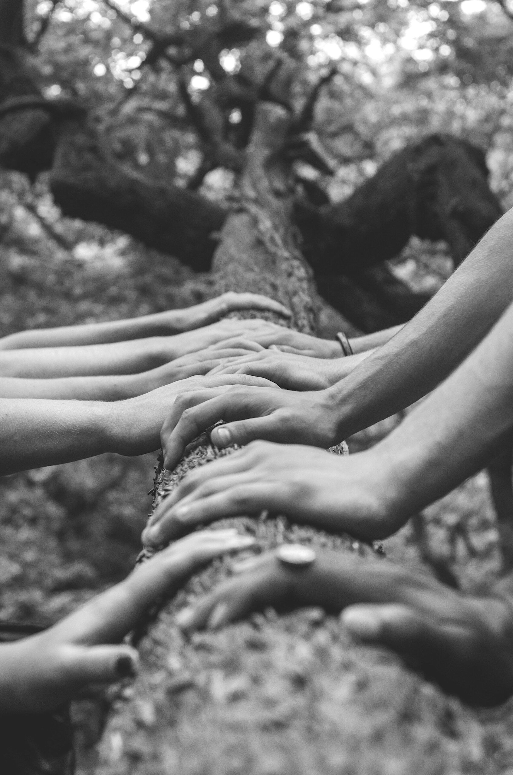 Meditationsgruppe3 Mindfulness MBSR fortsætter forløb